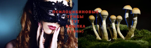 прущий лед Балахна