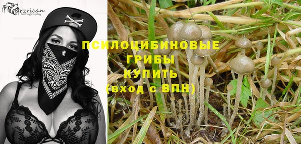 spice Балабаново