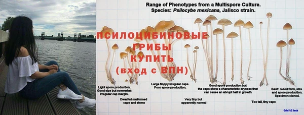 прущий лед Балахна
