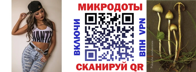 Псилоцибиновые грибы Cubensis  даркнет сайт  Спас-Деменск 